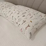 Il Sogno * Vranjes